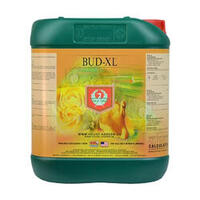  Bud XL - 5L