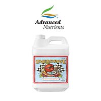  Overdrive 500mL