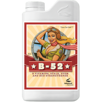 B-52 Fertilizer Booster 1L 