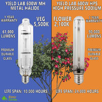 Luxx Lighting 400W Hps Globe