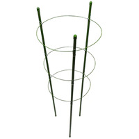 Flower Stakes - 75cm