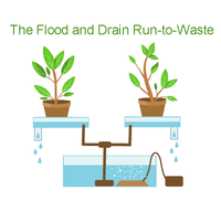 Why Run Drain to Waste? image